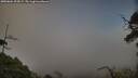 ./images/calvert/fitz-hugh-hecate/20250604/fitz-hugh-hecate20250604_203009M.jpg