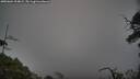 ./images/calvert/fitz-hugh-hecate/20250604/fitz-hugh-hecate20250604_204009M.jpg