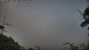 ./images/calvert/fitz-hugh-hecate/20250604/fitz-hugh-hecate20250604_204507M.jpg