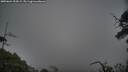 ./images/calvert/fitz-hugh-hecate/20250604/fitz-hugh-hecate20250604_205008M.jpg