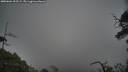 ./images/calvert/fitz-hugh-hecate/20250604/fitz-hugh-hecate20250604_205509M.jpg