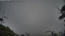 ./images/calvert/fitz-hugh-hecate/20250604/fitz-hugh-hecate20250604_210008M.jpg