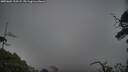 ./images/calvert/fitz-hugh-hecate/20250604/fitz-hugh-hecate20250604_210507M.jpg