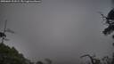 ./images/calvert/fitz-hugh-hecate/20250604/fitz-hugh-hecate20250604_211009M.jpg