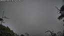 ./images/calvert/fitz-hugh-hecate/20250604/fitz-hugh-hecate20250604_211509M.jpg