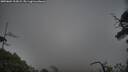 ./images/calvert/fitz-hugh-hecate/20250604/fitz-hugh-hecate20250604_212008M.jpg