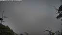 ./images/calvert/fitz-hugh-hecate/20250604/fitz-hugh-hecate20250604_212507M.jpg