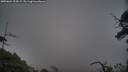 ./images/calvert/fitz-hugh-hecate/20250604/fitz-hugh-hecate20250604_213009M.jpg