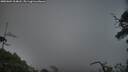 ./images/calvert/fitz-hugh-hecate/20250604/fitz-hugh-hecate20250604_214008M.jpg