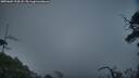 ./images/calvert/fitz-hugh-hecate/20250604/fitz-hugh-hecate20250604_214508M.jpg