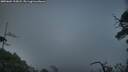 ./images/calvert/fitz-hugh-hecate/20250604/fitz-hugh-hecate20250604_215008M.jpg