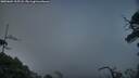 ./images/calvert/fitz-hugh-hecate/20250604/fitz-hugh-hecate20250604_215508M.jpg