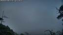 ./images/calvert/fitz-hugh-hecate/20250604/fitz-hugh-hecate20250604_220009M.jpg