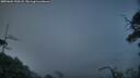 ./images/calvert/fitz-hugh-hecate/20250604/fitz-hugh-hecate20250604_220508M.jpg