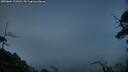 ./images/calvert/fitz-hugh-hecate/20250604/fitz-hugh-hecate20250604_221008M.jpg