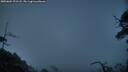 ./images/calvert/fitz-hugh-hecate/20250604/fitz-hugh-hecate20250604_221508M.jpg