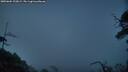 ./images/calvert/fitz-hugh-hecate/20250604/fitz-hugh-hecate20250604_222008M.jpg