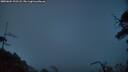 ./images/calvert/fitz-hugh-hecate/20250604/fitz-hugh-hecate20250604_222508M.jpg