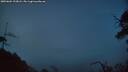 ./images/calvert/fitz-hugh-hecate/20250604/fitz-hugh-hecate20250604_223007M.jpg