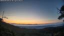 ./images/calvert/fitz-hugh-hecate/20250605/fitz-hugh-hecate20250605_045508M.jpg