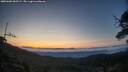./images/calvert/fitz-hugh-hecate/20250605/fitz-hugh-hecate20250605_050507M.jpg