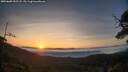 ./images/calvert/fitz-hugh-hecate/20250605/fitz-hugh-hecate20250605_052507M.jpg