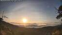 ./images/calvert/fitz-hugh-hecate/20250605/fitz-hugh-hecate20250605_060510M.jpg