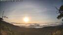 ./images/calvert/fitz-hugh-hecate/20250605/fitz-hugh-hecate20250605_061508M.jpg