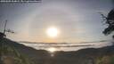 ./images/calvert/fitz-hugh-hecate/20250605/fitz-hugh-hecate20250605_064007M.jpg