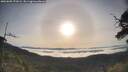 ./images/calvert/fitz-hugh-hecate/20250605/fitz-hugh-hecate20250605_072008M.jpg
