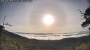 ./images/calvert/fitz-hugh-hecate/20250605/fitz-hugh-hecate20250605_072509M.jpg