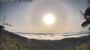 ./images/calvert/fitz-hugh-hecate/20250605/fitz-hugh-hecate20250605_073009M.jpg