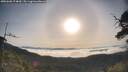 ./images/calvert/fitz-hugh-hecate/20250605/fitz-hugh-hecate20250605_074010M.jpg