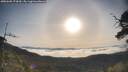 ./images/calvert/fitz-hugh-hecate/20250605/fitz-hugh-hecate20250605_074509M.jpg