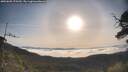 ./images/calvert/fitz-hugh-hecate/20250605/fitz-hugh-hecate20250605_075510M.jpg