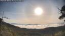 ./images/calvert/fitz-hugh-hecate/20250605/fitz-hugh-hecate20250605_080011M.jpg