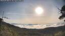 ./images/calvert/fitz-hugh-hecate/20250605/fitz-hugh-hecate20250605_080509M.jpg