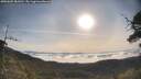 ./images/calvert/fitz-hugh-hecate/20250605/fitz-hugh-hecate20250605_081010M.jpg