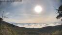 ./images/calvert/fitz-hugh-hecate/20250605/fitz-hugh-hecate20250605_081510M.jpg