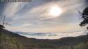 ./images/calvert/fitz-hugh-hecate/20250605/fitz-hugh-hecate20250605_082508M.jpg