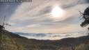 ./images/calvert/fitz-hugh-hecate/20250605/fitz-hugh-hecate20250605_083010M.jpg