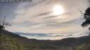 ./images/calvert/fitz-hugh-hecate/20250605/fitz-hugh-hecate20250605_083510M.jpg