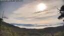 ./images/calvert/fitz-hugh-hecate/20250605/fitz-hugh-hecate20250605_084010M.jpg