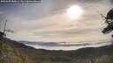 ./images/calvert/fitz-hugh-hecate/20250605/fitz-hugh-hecate20250605_084506M.jpg