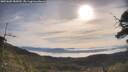 ./images/calvert/fitz-hugh-hecate/20250605/fitz-hugh-hecate20250605_085010M.jpg