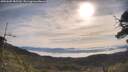 ./images/calvert/fitz-hugh-hecate/20250605/fitz-hugh-hecate20250605_085509M.jpg