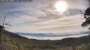 ./images/calvert/fitz-hugh-hecate/20250605/fitz-hugh-hecate20250605_090011M.jpg