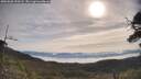 ./images/calvert/fitz-hugh-hecate/20250605/fitz-hugh-hecate20250605_090507M.jpg
