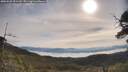 ./images/calvert/fitz-hugh-hecate/20250605/fitz-hugh-hecate20250605_091510M.jpg