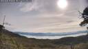 ./images/calvert/fitz-hugh-hecate/20250605/fitz-hugh-hecate20250605_092010M.jpg